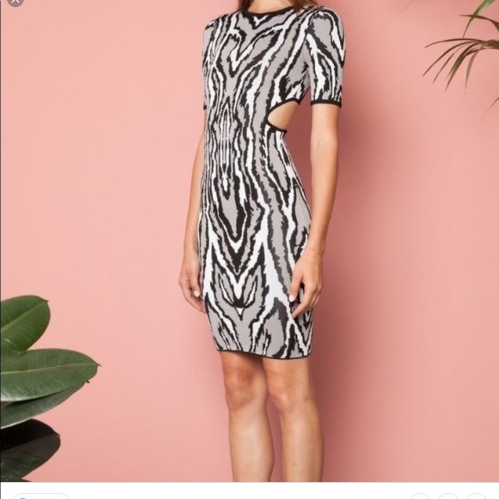 NEW Torn by Ronny Kobo knit cutout dress